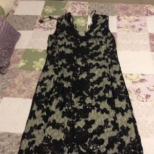 Tadashi Shoji cocktail dress! NWT